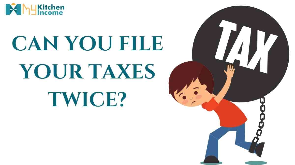 can you file your taxes twice
